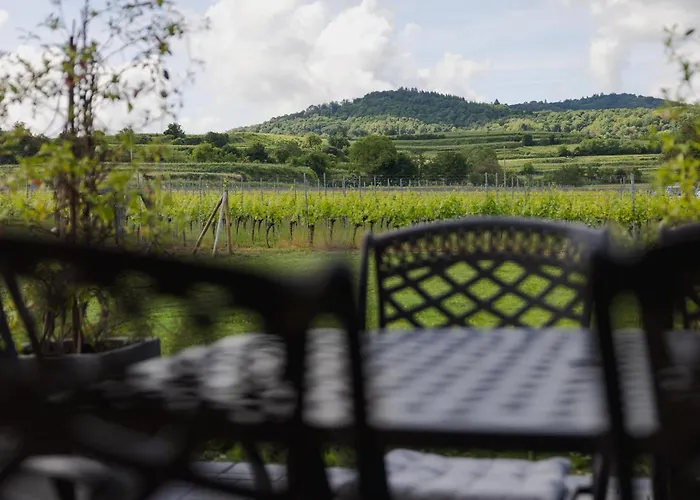 Wilde Hilde * 恩丁根